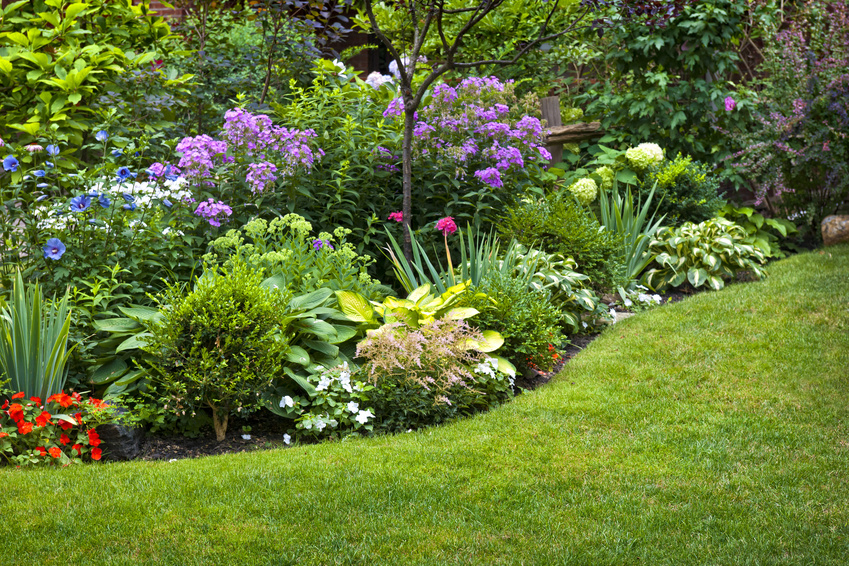 landscaping design company