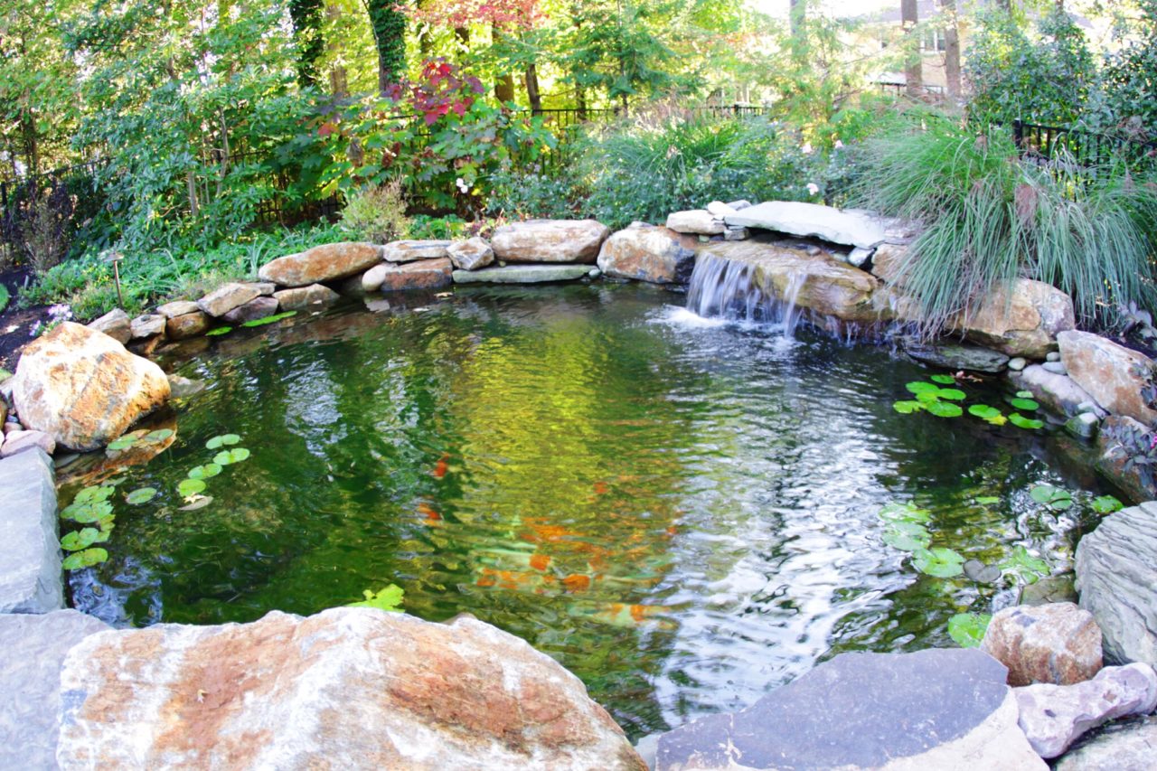 3 Surprising Benefits of Backyard Koi Ponds