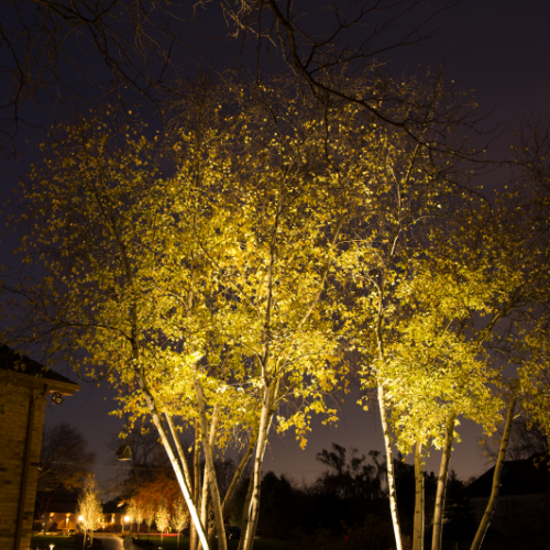 High End Landscape Lighting Outdoor Lighting Near Me